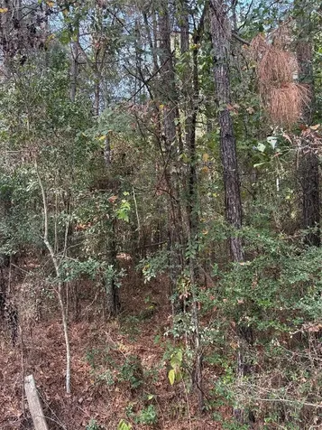 Tbd Glen Nettles Road Livingston TX 77351
