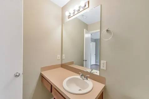 21602 Daylily Hills Drive Spring TX 77388