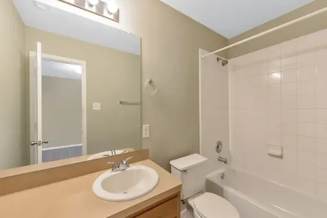 21602 Daylily Hills Drive Spring TX 77388