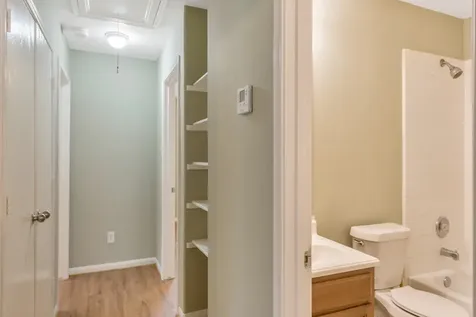 21602 Daylily Hills Drive Spring TX 77388