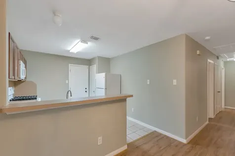 21602 Daylily Hills Drive Spring TX 77388