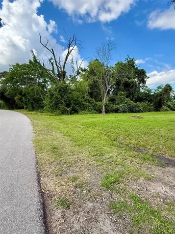 13650 Salt Grass Trail Lot 105 Cypress TX 77429