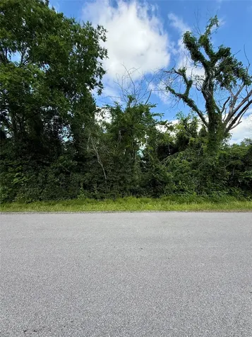 13650 Salt Grass Trail Lot 105 Cypress TX 77429