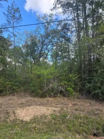 0 N Mill Drive Magnolia TX 77354