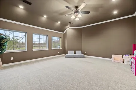 9618 Silver Birch Court Missouri City TX 77459