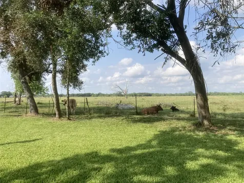 4003 Country Trails Street Alvin TX 77511