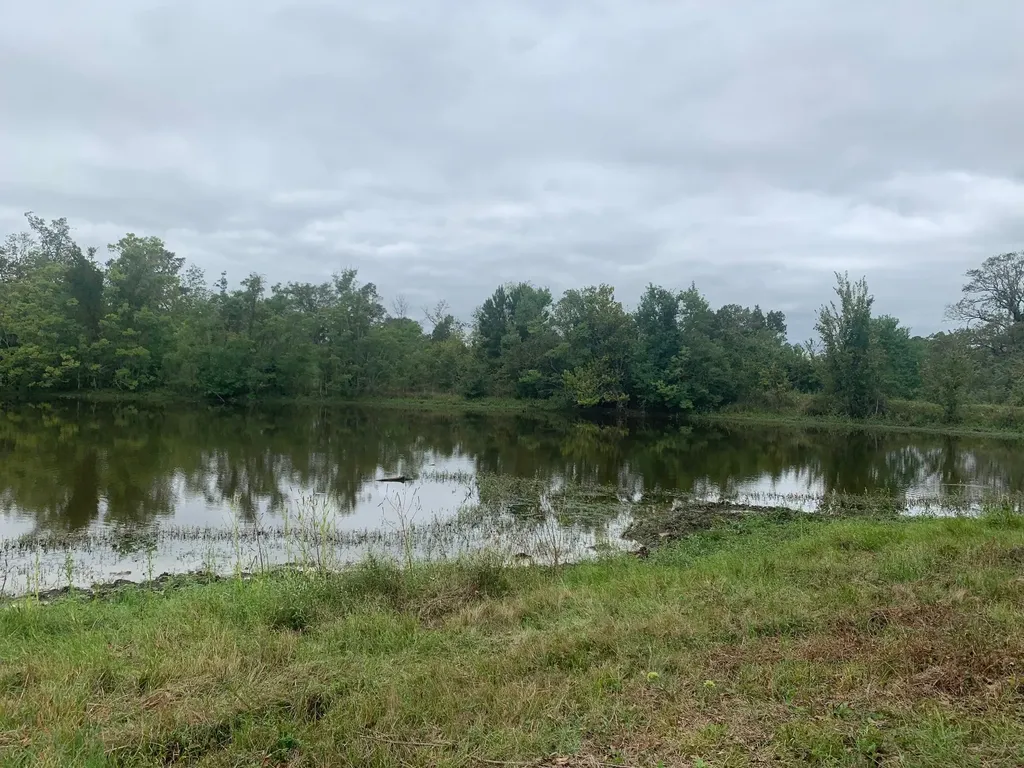 25572 Johnson Road Montgomery TX 77356