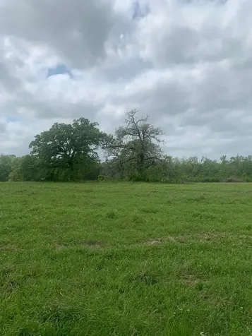 25572 Johnson Road Montgomery TX 77356