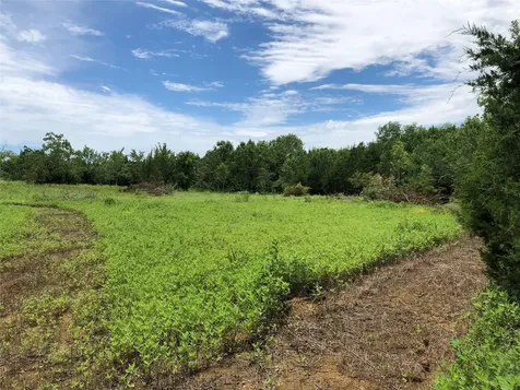 001 Steele Road Highlands TX 77562