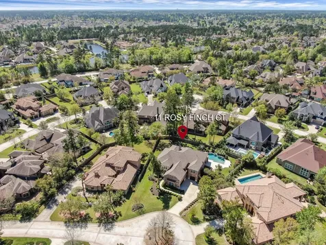 11 Rosy Finch Place The Woodlands TX 77389