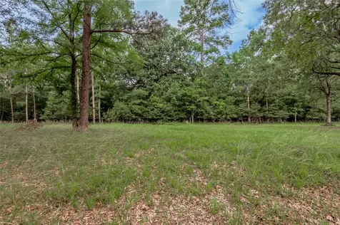 Lot 38 Peach Point Lane Trinity TX 75862