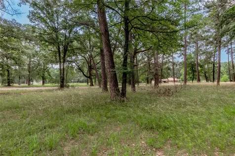 Lot 38 Peach Point Lane Trinity TX 75862