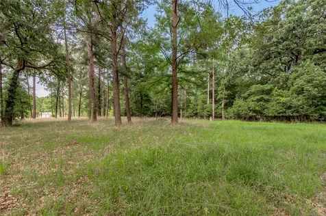 Lot 38 Peach Point Lane Trinity TX 75862