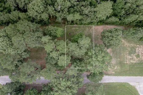 Lot 38 Peach Point Lane Trinity TX 75862