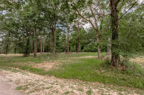 Lot 38 Peach Point Lane Trinity TX 75862