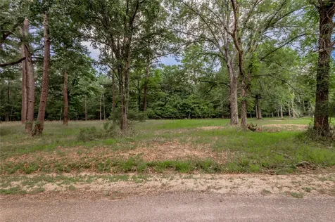 Lot 38 Peach Point Lane Trinity TX 75862