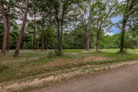 Lot 38 Peach Point Lane Trinity TX 75862
