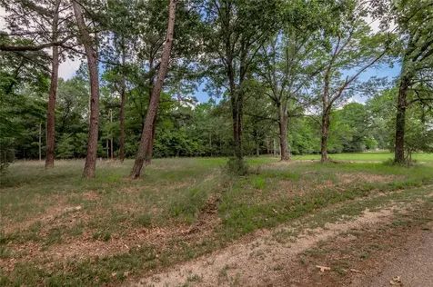 Lot 38 Peach Point Lane Trinity TX 75862