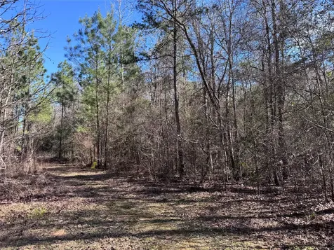 Tbd Cr 2669,2670 Cleveland TX 77327