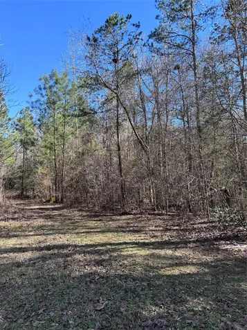 Tbd Cr 2669,2670 Cleveland TX 77327