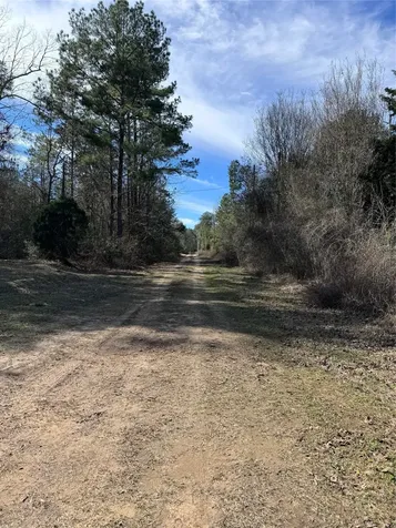 Tbd Cr 2669,2670 Cleveland TX 77327