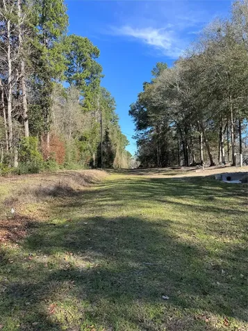 Tbd Cr 2669,2670 Cleveland TX 77327
