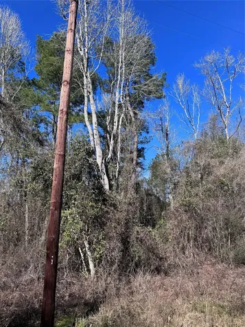 Tbd Cr 2669,2670 Cleveland TX 77327