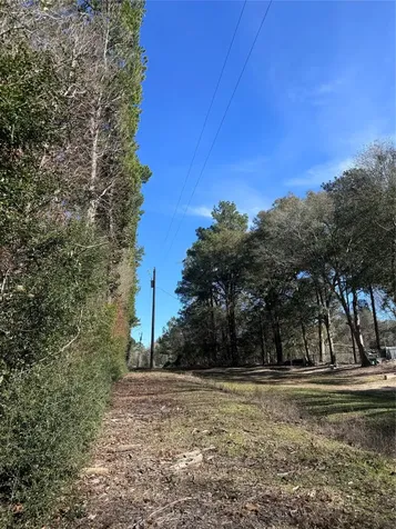 Tbd Cr 2669,2670 Cleveland TX 77327