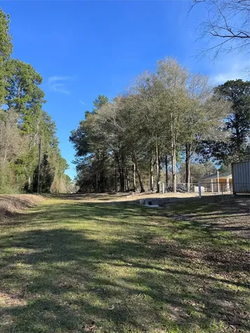 Tbd Cr 2669,2670 Cleveland TX 77327