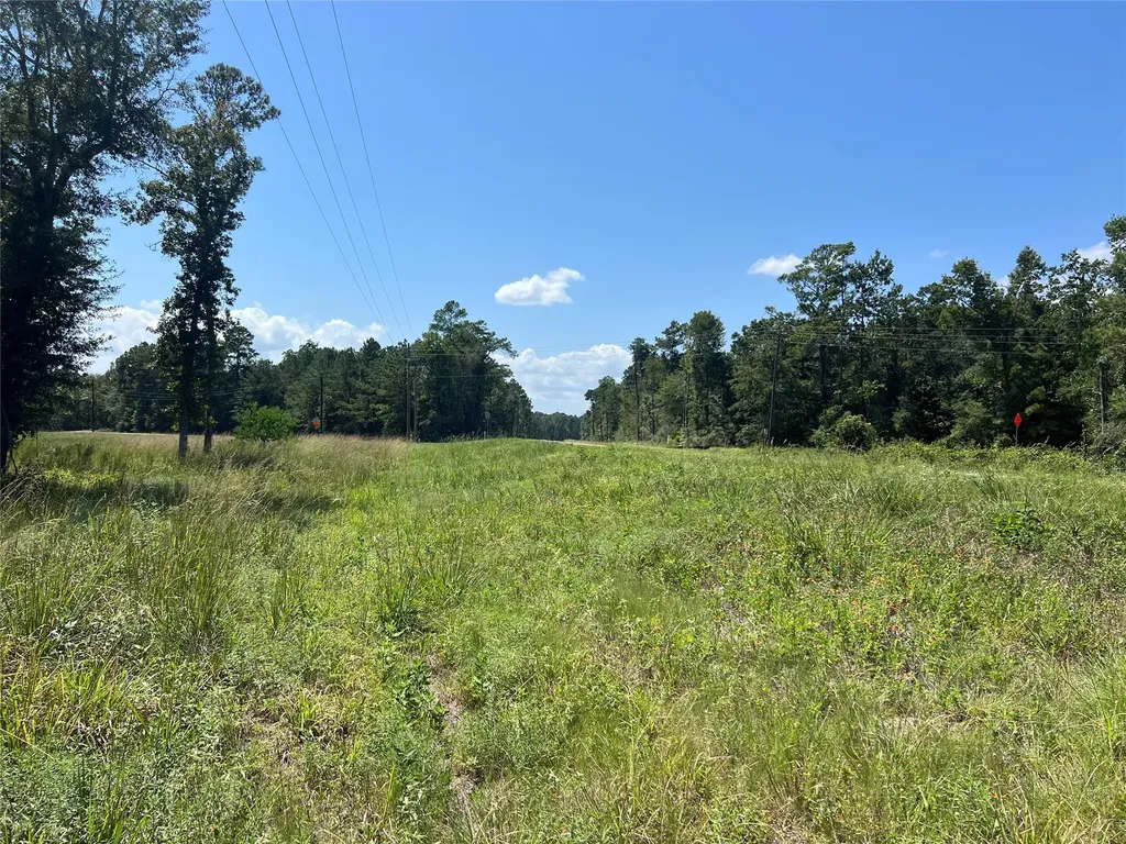 Tbd 3 3152 Road Livingston TX 77351