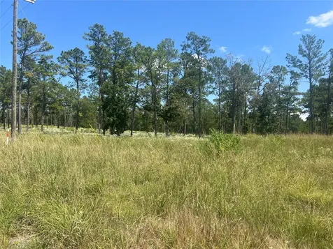 Tbd 3 3152 Road Livingston TX 77351