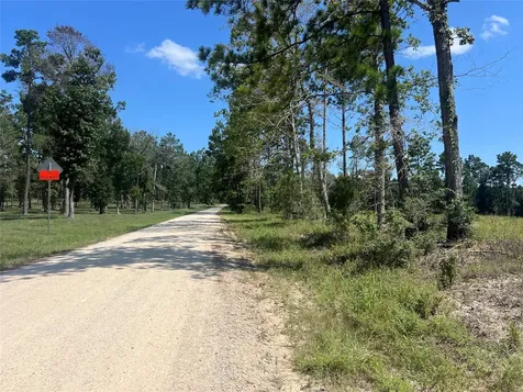 Tbd 3 3152 Road Livingston TX 77351
