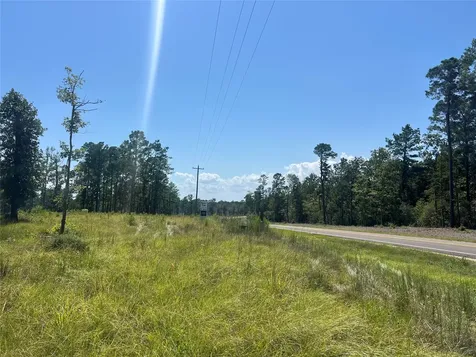 Tbd 3 3152 Road Livingston TX 77351