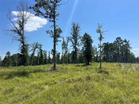 Tbd 3 3152 Road Livingston TX 77351