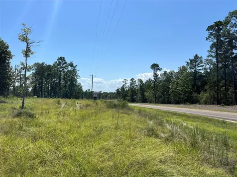 Tbd 3 3152 Road Livingston TX 77351