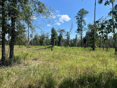 Tbd 3 3152 Road Livingston TX 77351