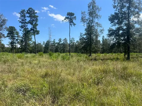 Tbd 3 3152 Road Livingston TX 77351