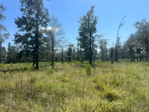 Tbd 3 3152 Road Livingston TX 77351