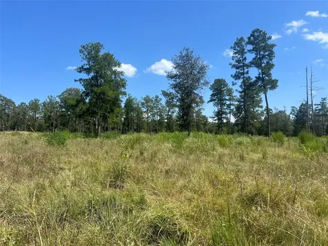 Tbd 3 3152 Road Livingston TX 77351