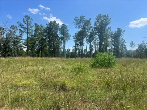 Tbd 3 3152 Road Livingston TX 77351