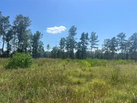 Tbd 3 3152 Road Livingston TX 77351