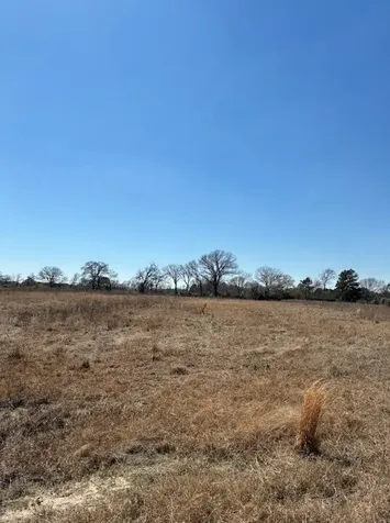 0 County Road 2235 Grapeland TX 75844