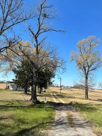 0 County Road 2235 Grapeland TX 75844