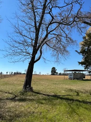 0 County Road 2235 Grapeland TX 75844