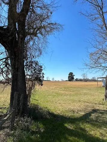 0 County Road 2235 Grapeland TX 75844