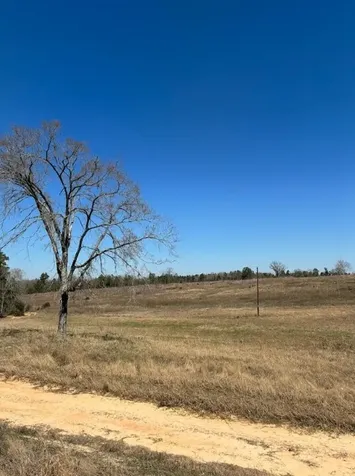 0 County Road 2235 Grapeland TX 75844