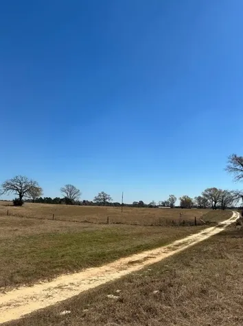 0 County Road 2235 Grapeland TX 75844