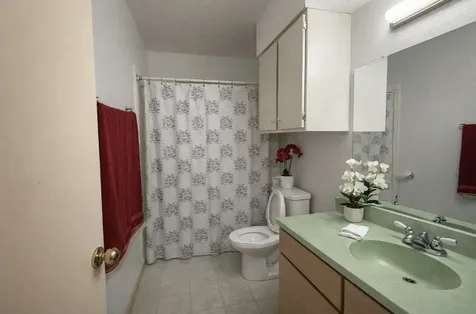 2102 Snowdrop Lane Houston TX 77067