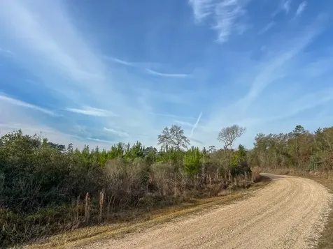 10 Fm 787 Saratoga TX 77585
