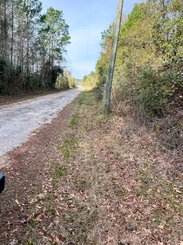 10 Fm 787 Saratoga TX 77585